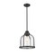 Z-Lite Burren 1 Light Pendant, Matte Black And Clear Seedy 337P12MB - alternate 1